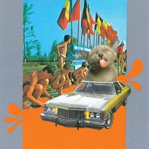Postcard A5 - Cat Driving
