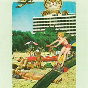 Postcard A5 - Kitty